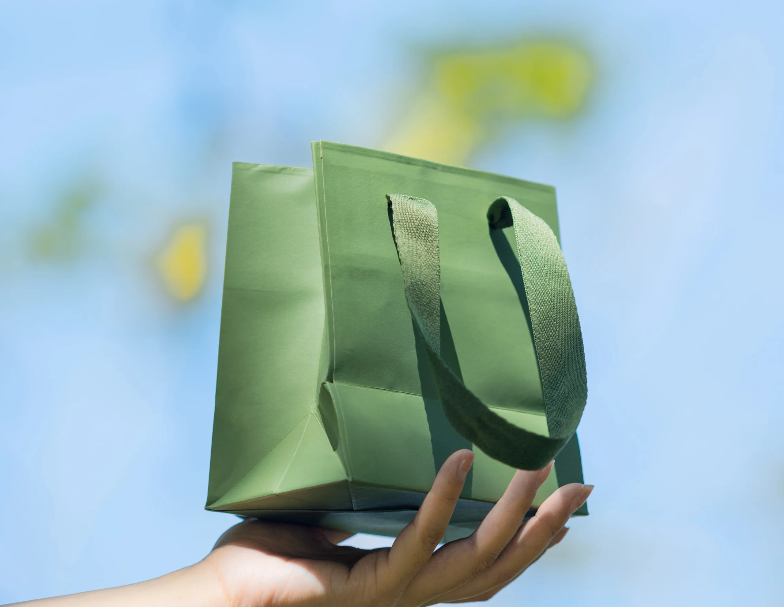 Premium paper bags for jewelry brands with custom logo printing